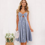 Blue Gingham Tie-Front Dress