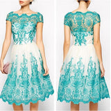 Waisted Lacy Slim Fit Mini Evening Dress