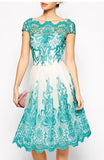 Waisted Lacy Slim Fit Mini Evening Dress