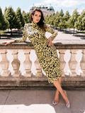 Leopard Midi Dress